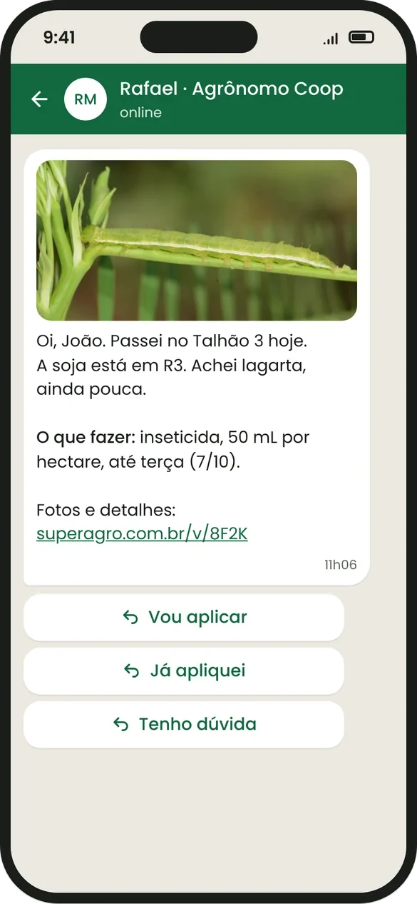 Visit summary on WhatsApp, with a photo of the pest, what to do, the deadline and reply buttons