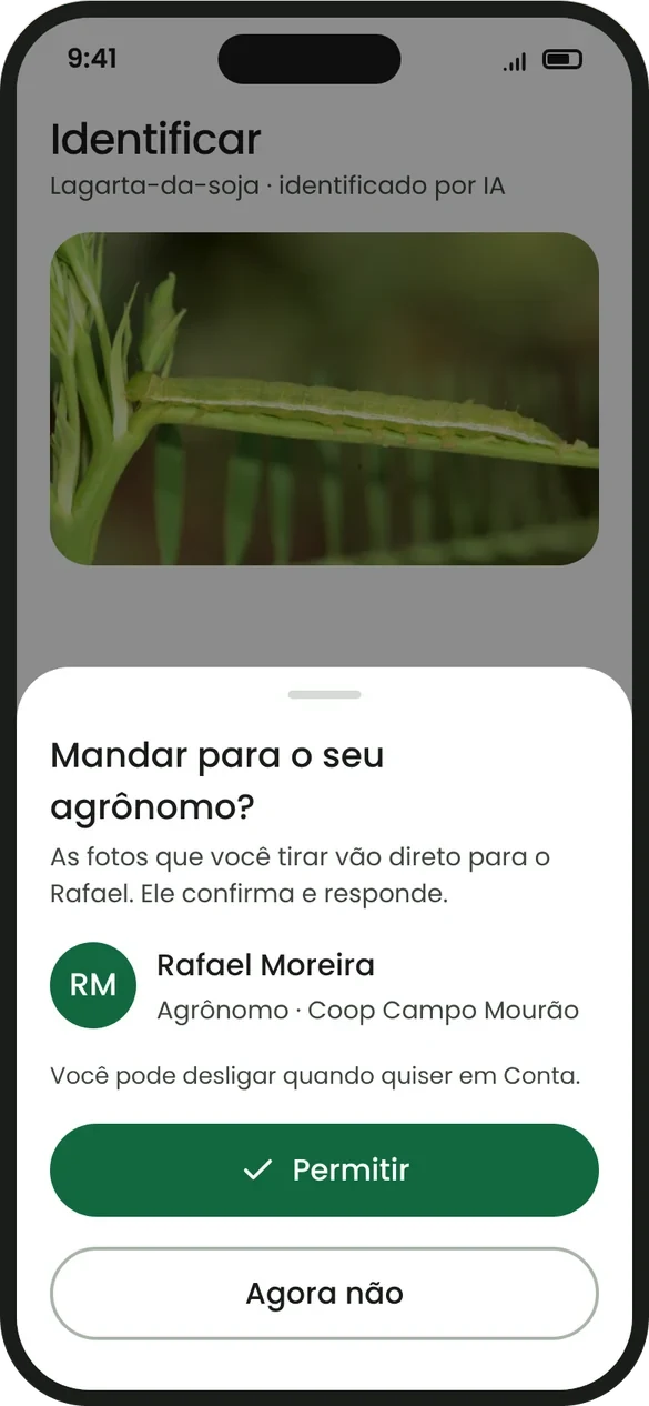 Farmer app: soybean caterpillar identified by AI, with the option to send the photo to the agronomist